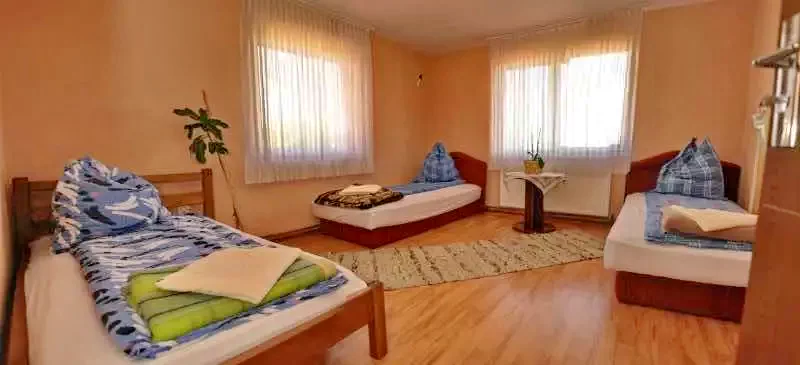 Coltău Cazare | Pensiune (K1004-9) Imaginea poate fi supusă drepturilor de autor. Se recomandă contactarea titularului drepturilor.