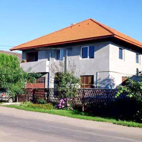 Coltău Cazare | Pensiune (K1004-24) Imaginea poate fi supusă drepturilor de autor. Se recomandă contactarea titularului drepturilor.