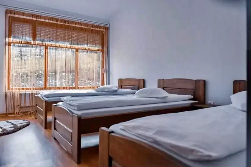 Izvoare Cazare | Cabană (K1252-16) Imaginea poate fi supusă drepturilor de autor. Se recomandă contactarea titularului drepturilor.