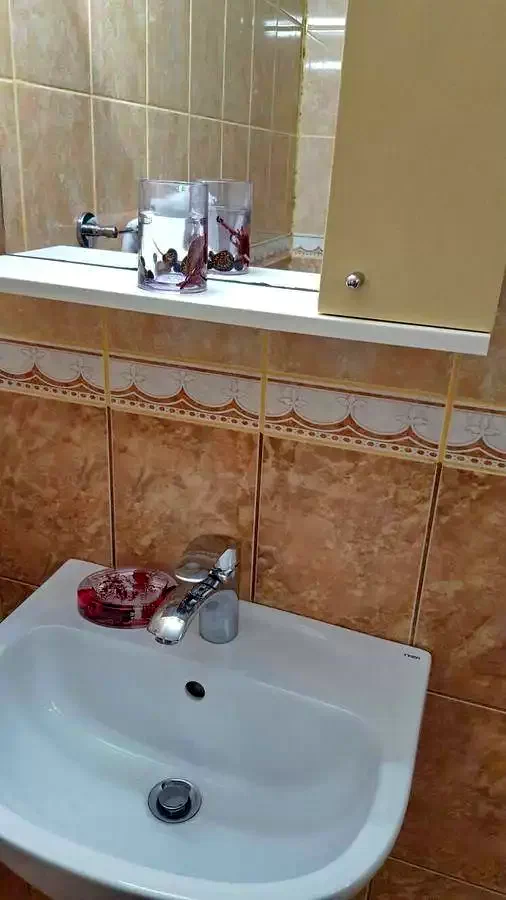 Eforie Nord Cazare | Motel (K1324-29) Imaginea poate fi supusă drepturilor de autor. Se recomandă contactarea titularului drepturilor.