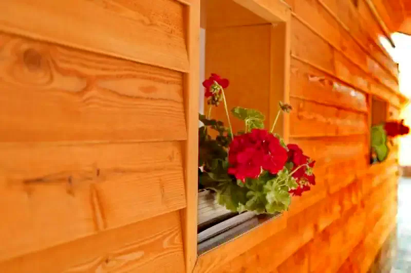 Ionești Cazare | Hotel**** (K1349-18) Imaginea poate fi supusă drepturilor de autor. Se recomandă contactarea titularului drepturilor.