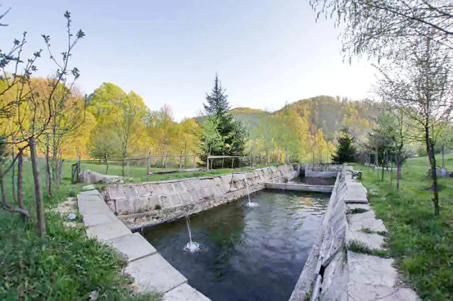 Cazare Valea Boghii - Pensiunea Sebisel* | Boga Völgye - Sebisel Panzió*. Imaginea poate fi supusă drepturilor de autor. Se recomandă contactarea titularului drepturilor.