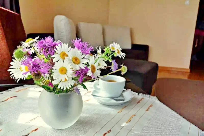 Madarasi Hargita Szállás | Motel (K0067-25) A kép szerzői jogvédelem alatt állhat. Javasolt a kapcsolatfelvétel a jog tulajdonossal.