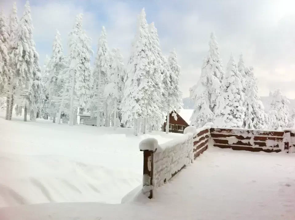 Harghita Madaras Cazare | Motel (K0067-35) Imaginea poate fi supusă drepturilor de autor. Se recomandă contactarea titularului drepturilor.