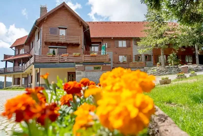 Harghita Madaras Cazare | Motel (K0067-41) Imaginea poate fi supusă drepturilor de autor. Se recomandă contactarea titularului drepturilor.