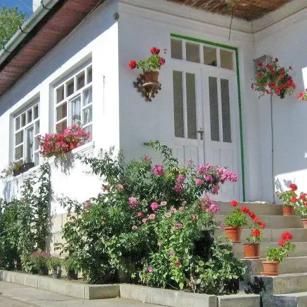 Torockó Szállás | Vendégház (K1090-44) A kép szerzői jogvédelem alatt állhat. Javasolt a kapcsolatfelvétel a jog tulajdonossal.