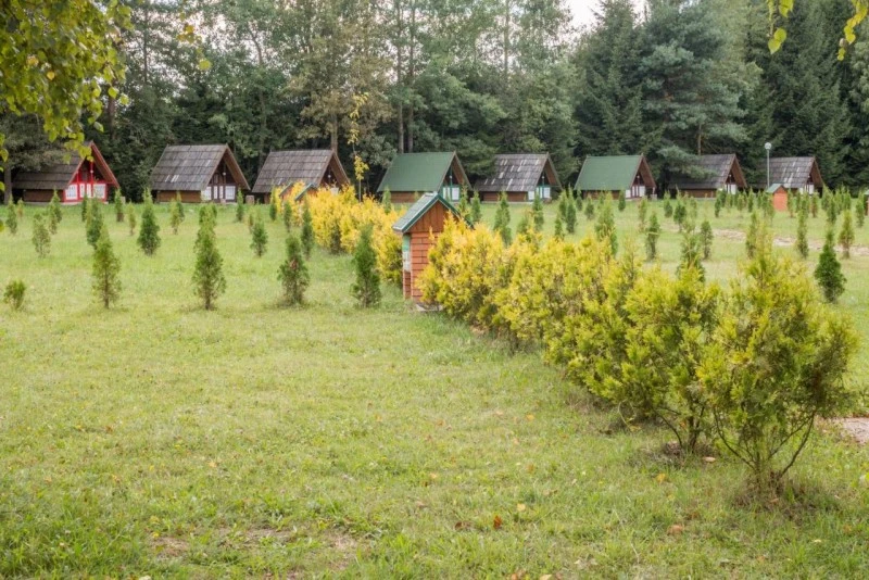 Gyergyószentmiklós Szállás | Panzió (K1562-43) A kép szerzői jogvédelem alatt állhat. Javasolt a kapcsolatfelvétel a jog tulajdonossal.