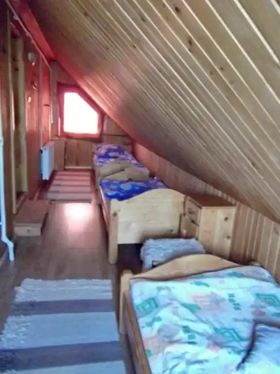 Barajul Zetea Cazare | Cabană (K0343-22) Imaginea poate fi supusă drepturilor de autor. Se recomandă contactarea titularului drepturilor.
