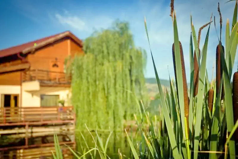 Gyulafehérvár Szállás | Motel (K1180-19) A kép szerzői jogvédelem alatt állhat. Javasolt a kapcsolatfelvétel a jog tulajdonossal.