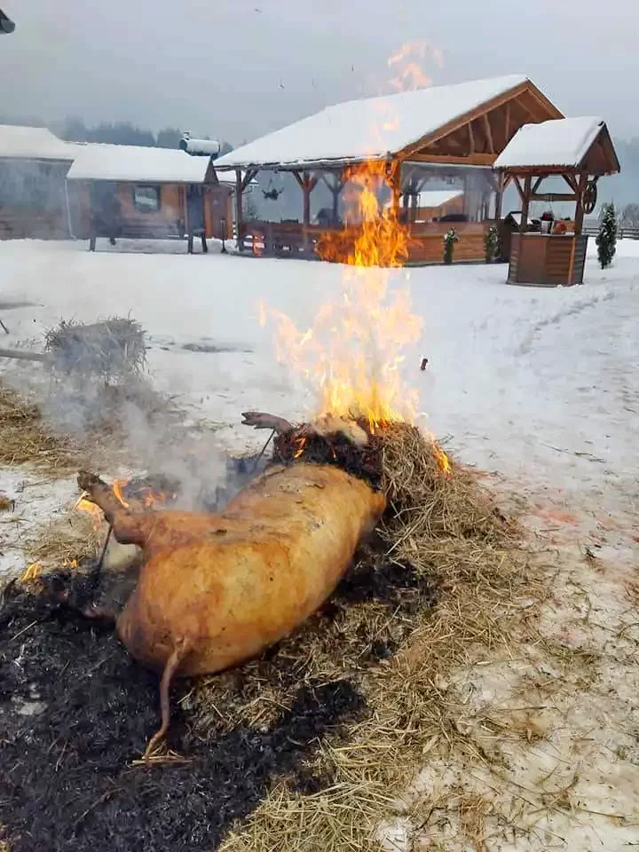 Barajul Zetea Cazare | Cabană (K0827-53) Imaginea poate fi supusă drepturilor de autor. Se recomandă contactarea titularului drepturilor.