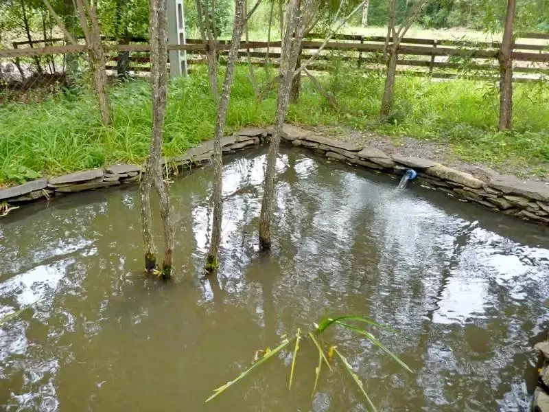 Barajul Zetea Cazare | Cabană (K1165-6) Imaginea poate fi supusă drepturilor de autor. Se recomandă contactarea titularului drepturilor.