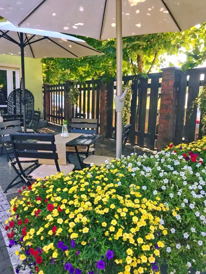 Szállás Târgu Mureș - Vila Cheșa*** | Marosvásárhely - Cheșa Villa***. A kép szerzői jogvédelem alatt állhat. Javasolt a kapcsolatfelvétel a jog tulajdonossal.