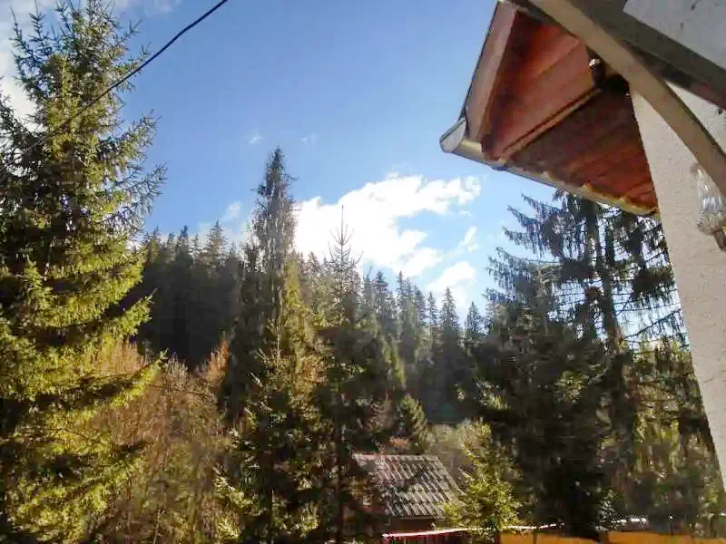 Băile Homorod Cazare | Cabana turistică (K0036-1) Imaginea poate fi supusă drepturilor de autor. Se recomandă contactarea titularului drepturilor.