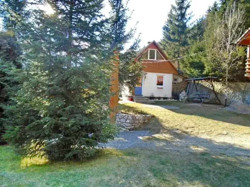 Băile Homorod Cazare | Sat de vacanță (K0036-23) Imaginea poate fi supusă drepturilor de autor. Se recomandă contactarea titularului drepturilor.