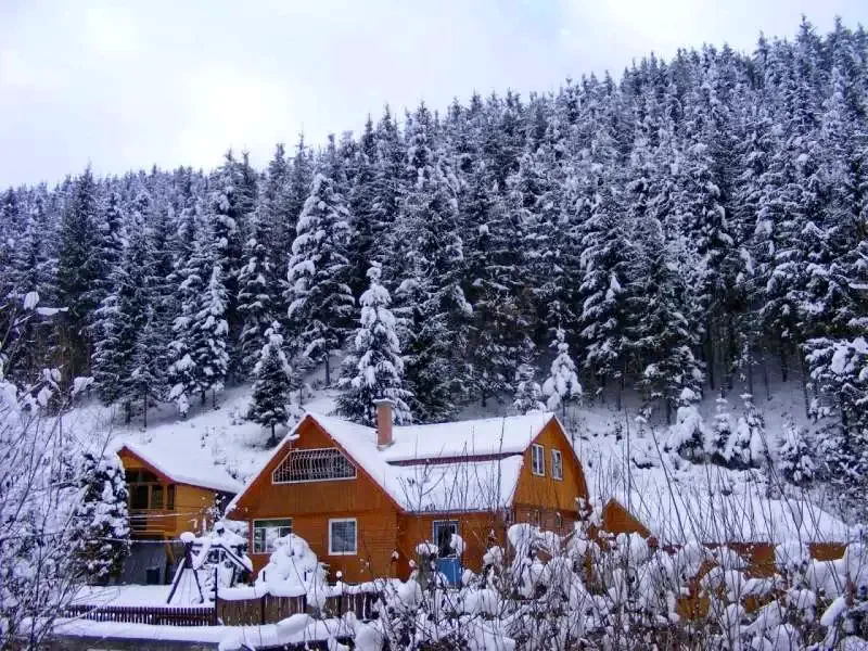 Băile Homorod Cazare | Cabana turistică (K0037-46) Imaginea poate fi supusă drepturilor de autor. Se recomandă contactarea titularului drepturilor.