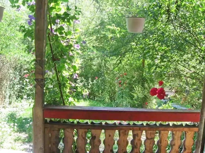 Băile Homorod Cazare | Bungalow (K0043-1) Imaginea poate fi supusă drepturilor de autor. Se recomandă contactarea titularului drepturilor.