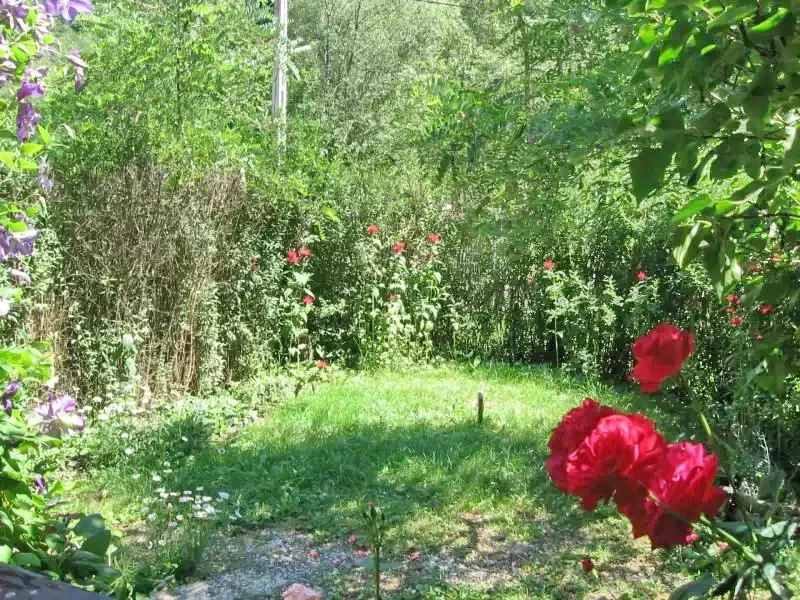 Băile Homorod Cazare | Casă de apartamente (K0043-9) Imaginea poate fi supusă drepturilor de autor. Se recomandă contactarea titularului drepturilor.