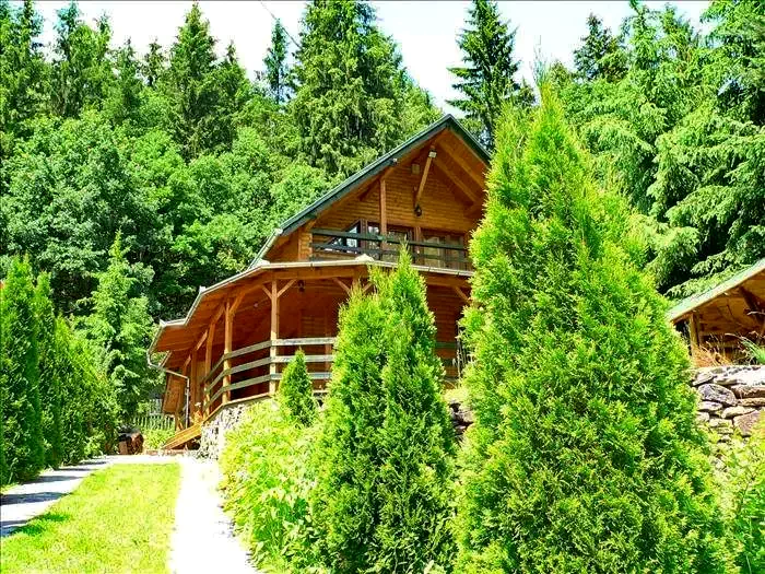 Băile Homorod Cazare | Casă de oaspeți (K0434-28) Imaginea poate fi supusă drepturilor de autor. Se recomandă contactarea titularului drepturilor.