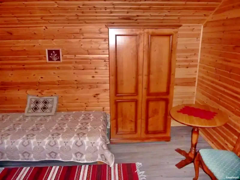 Băile Homorod Cazare | Cabană (K1178-17) Imaginea poate fi supusă drepturilor de autor. Se recomandă contactarea titularului drepturilor.