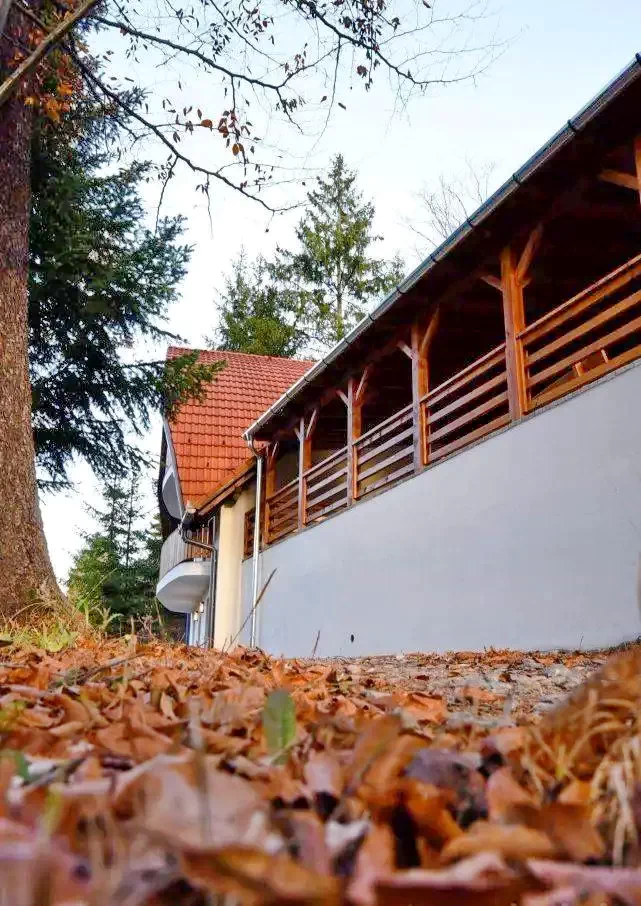 Băile Homorod Cazare | Cabană (K1253-34) Imaginea poate fi supusă drepturilor de autor. Se recomandă contactarea titularului drepturilor.