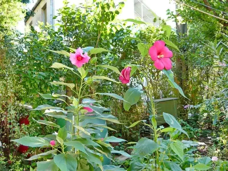  Cazare | Sat de vacanță (K0611-1) Imaginea poate fi supusă drepturilor de autor. Se recomandă contactarea titularului drepturilor.