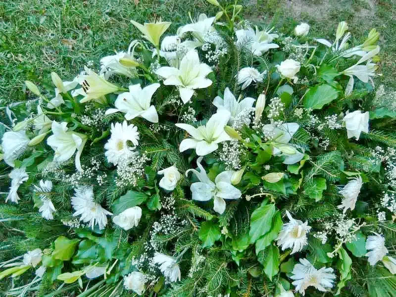  Cazare | Sat de vacanță (K0611-5) Imaginea poate fi supusă drepturilor de autor. Se recomandă contactarea titularului drepturilor.