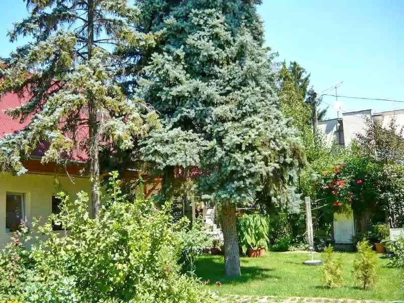  Cazare | Sat de vacanță (K0611-8) Imaginea poate fi supusă drepturilor de autor. Se recomandă contactarea titularului drepturilor.