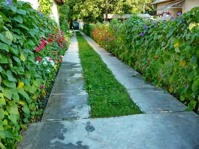  Cazare | Sat de vacanță (K0611-12) Imaginea poate fi supusă drepturilor de autor. Se recomandă contactarea titularului drepturilor.