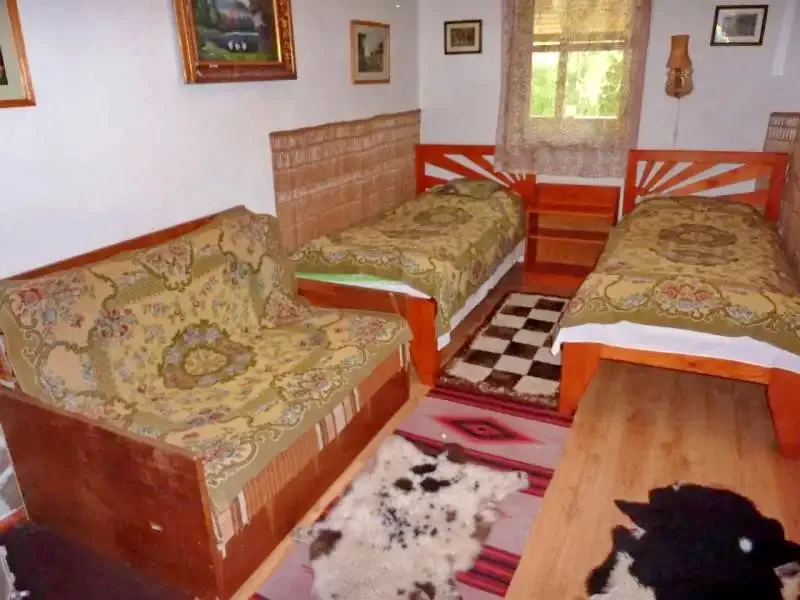 Vărșag Cazare | Cabană (K0518-8) Imaginea poate fi supusă drepturilor de autor. Se recomandă contactarea titularului drepturilor.
