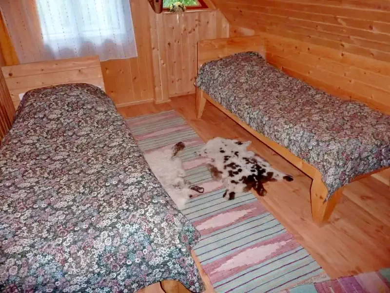 Székelyvarság Szállás | Kulcsosház (K0518-22) A kép szerzői jogvédelem alatt állhat. Javasolt a kapcsolatfelvétel a jog tulajdonossal.