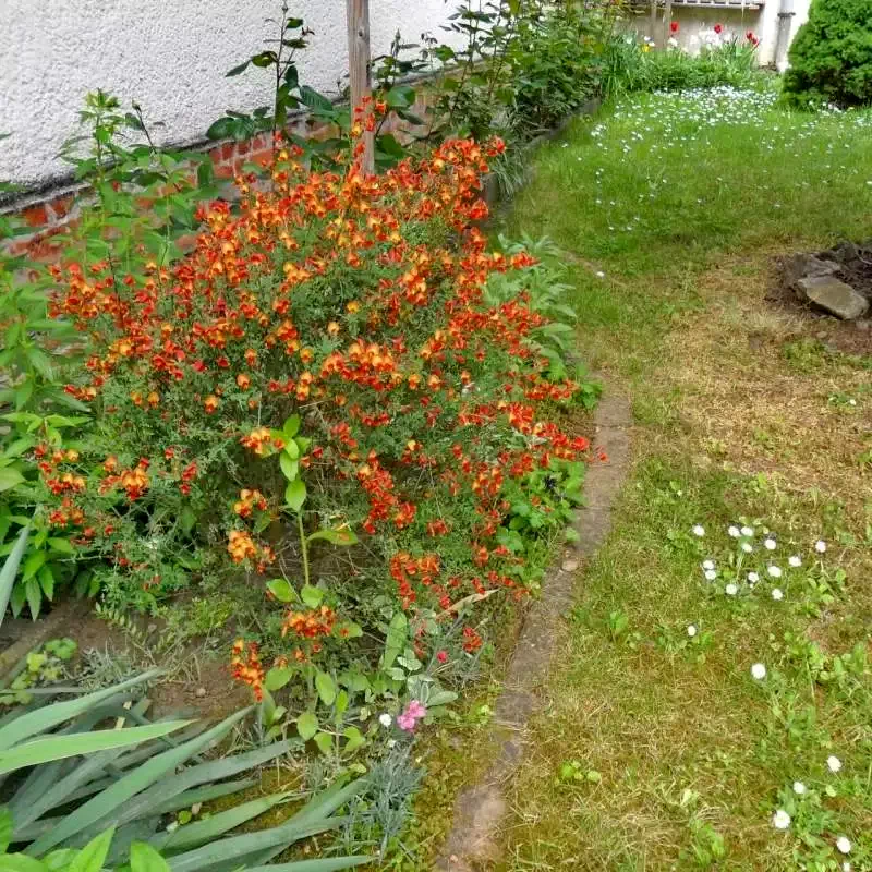 Jula Cazare | Sat de vacanță (K0109-6) Imaginea poate fi supusă drepturilor de autor. Se recomandă contactarea titularului drepturilor.