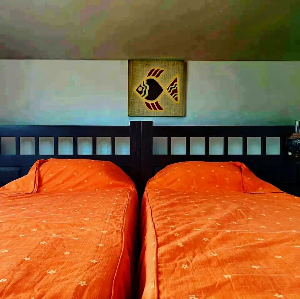 Crișan Cazare | Motel (K1325-9) Imaginea poate fi supusă drepturilor de autor. Se recomandă contactarea titularului drepturilor.