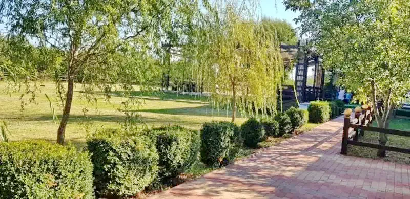 Crișan Cazare | Motel (K1325-16) Imaginea poate fi supusă drepturilor de autor. Se recomandă contactarea titularului drepturilor.