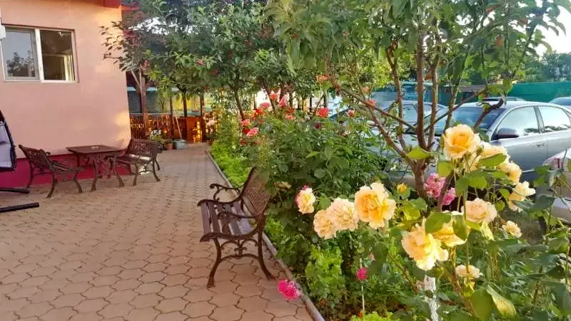  Szállás | Motel (K1337-7) A kép szerzői jogvédelem alatt állhat. Javasolt a kapcsolatfelvétel a jog tulajdonossal.