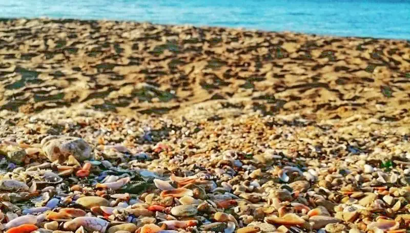 Costinești Cazare | Motel (K1339-2) Imaginea poate fi supusă drepturilor de autor. Se recomandă contactarea titularului drepturilor.