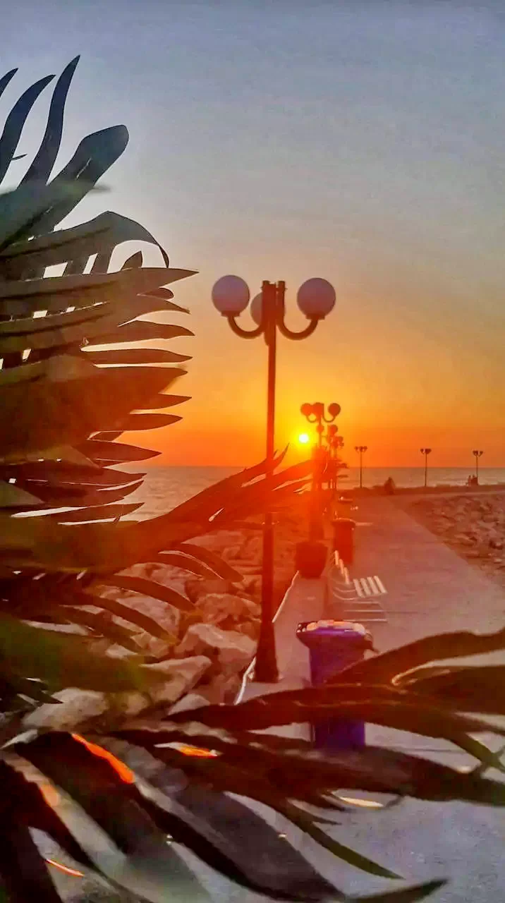  Szállás | Motel (K1339-3) A kép szerzői jogvédelem alatt állhat. Javasolt a kapcsolatfelvétel a jog tulajdonossal.