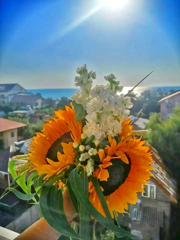 Costinești Cazare | Motel (K1339-27) Imaginea poate fi supusă drepturilor de autor. Se recomandă contactarea titularului drepturilor.