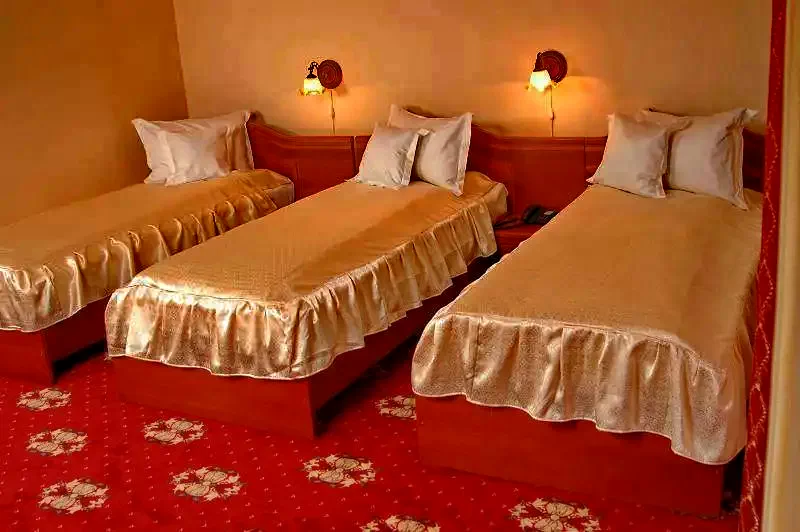 Satu Mare Cazare | Hotel*** (K1171-31) Imaginea poate fi supusă drepturilor de autor. Se recomandă contactarea titularului drepturilor.