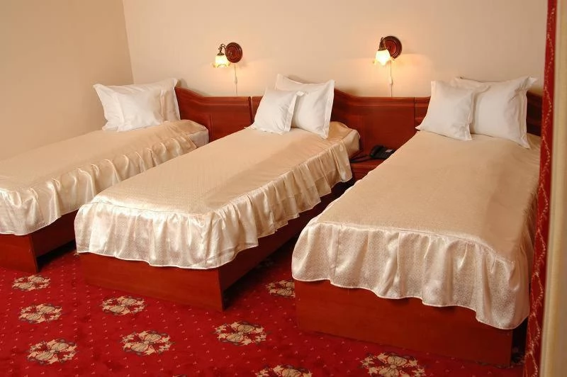 Satu Mare Cazare | Hotel*** (K1171-44) Imaginea poate fi supusă drepturilor de autor. Se recomandă contactarea titularului drepturilor.