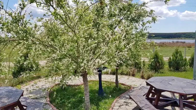  Szállás | Motel (K1301-38) A kép szerzői jogvédelem alatt állhat. Javasolt a kapcsolatfelvétel a jog tulajdonossal.