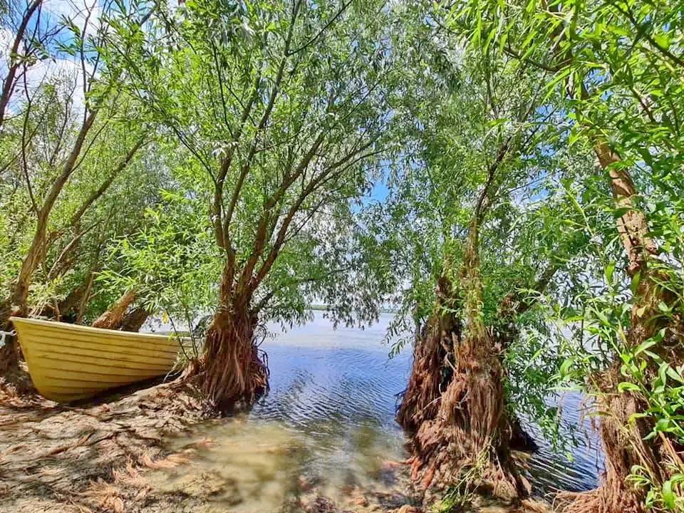 Băltenii de Sus Cazare | Motel (K1301-43) Imaginea poate fi supusă drepturilor de autor. Se recomandă contactarea titularului drepturilor.