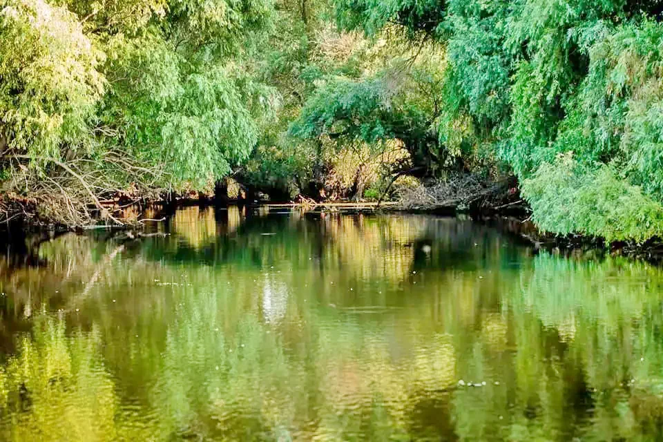 Băltenii de Sus Cazare | Motel (K1301-44) Imaginea poate fi supusă drepturilor de autor. Se recomandă contactarea titularului drepturilor.