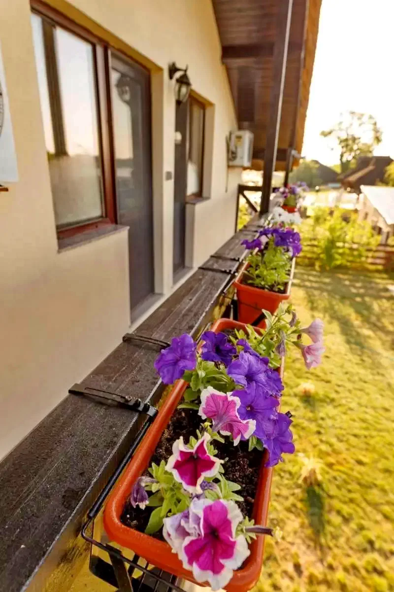 Crișan Cazare | Motel (K1333-26) Imaginea poate fi supusă drepturilor de autor. Se recomandă contactarea titularului drepturilor.