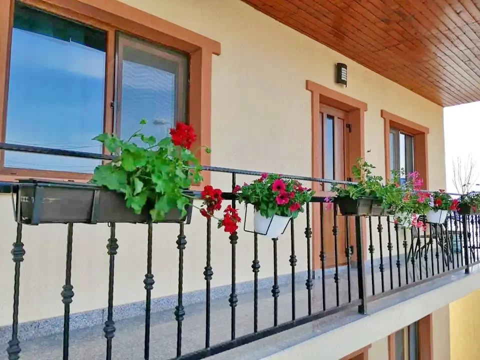 Tulcea Cazare | Pensiune (K1316-6) Imaginea poate fi supusă drepturilor de autor. Se recomandă contactarea titularului drepturilor.