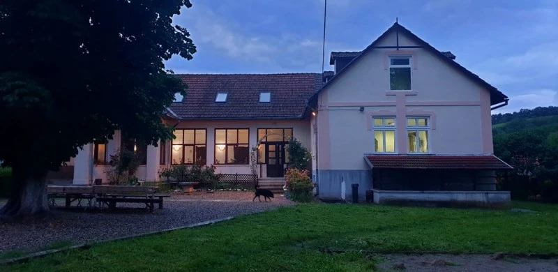 Geoagiu Cazare | Vilă turistică (K0115-1) Imaginea poate fi supusă drepturilor de autor. Se recomandă contactarea titularului drepturilor.