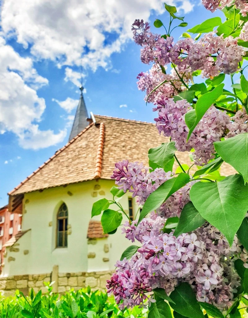 Geoagiu Cazare | Vilă turistică (K0115-8) Imaginea poate fi supusă drepturilor de autor. Se recomandă contactarea titularului drepturilor.