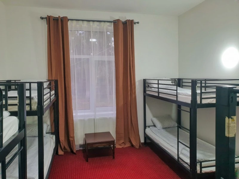 Algyógy Szállás | Hostel (K0115-27) A kép szerzői jogvédelem alatt állhat. Javasolt a kapcsolatfelvétel a jog tulajdonossal.