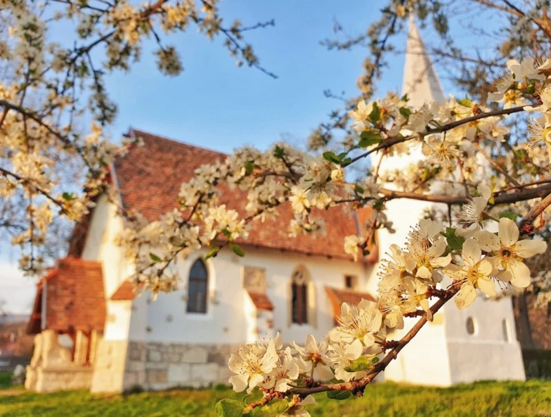 Geoagiu Cazare | Vilă turistică (K0115-39) Imaginea poate fi supusă drepturilor de autor. Se recomandă contactarea titularului drepturilor.