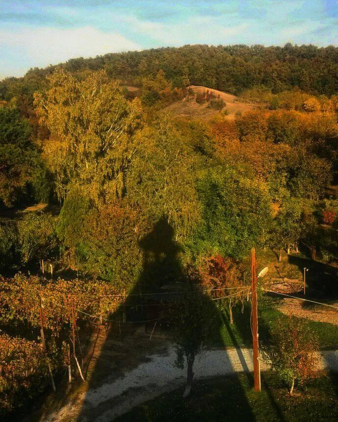 Geoagiu Cazare | Hostel (K0115-49) Imaginea poate fi supusă drepturilor de autor. Se recomandă contactarea titularului drepturilor.