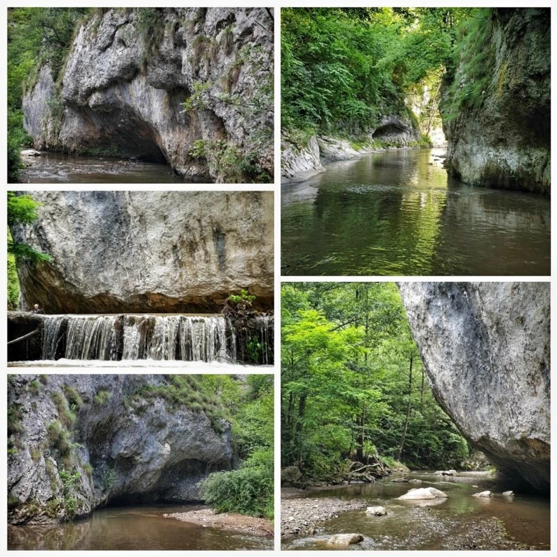 Geoagiu Cazare | Vilă turistică (K0115-58) Imaginea poate fi supusă drepturilor de autor. Se recomandă contactarea titularului drepturilor.